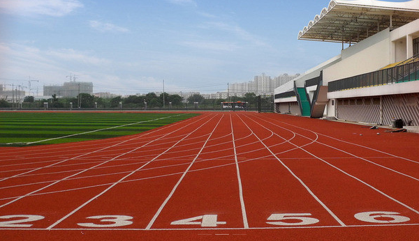 體育專業(yè)就業(yè)方向