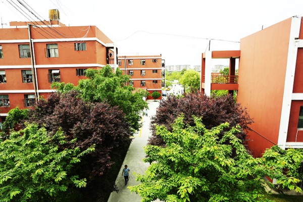 職校有哪些專業(yè)