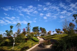 成都五月花高級(jí)技工學(xué)校新年祝福