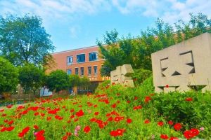 成都五月花技工學(xué)校怎么樣環(huán)境圖片有嗎