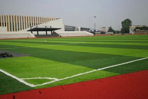 2022年樂(lè)山市欣欣藝術(shù)職業(yè)學(xué)校報(bào)考條件_報(bào)考要求介紹