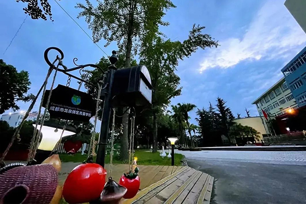 成都市龍泉驛區(qū)青苗學(xué)校招生簡(jiǎn)章