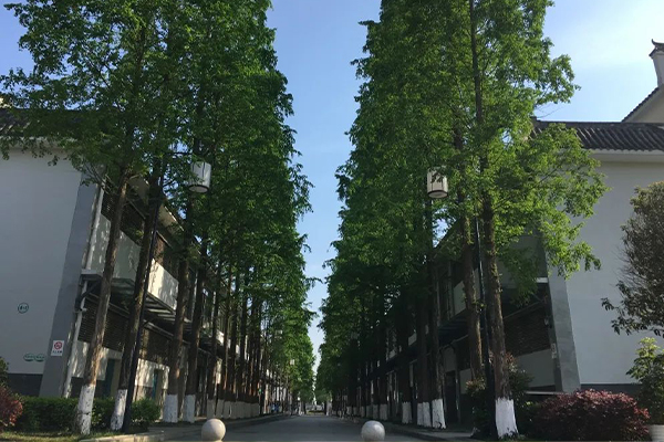 師一中學(xué)校