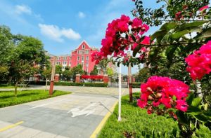 2026年新津成外地址在哪里_交通如何